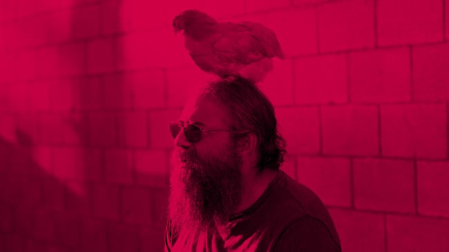 Auch ein blindes Huhn findet mal ein…en Kopf